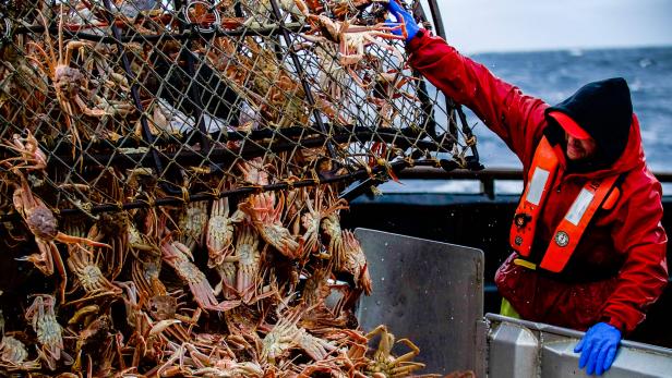 Dutch Harbor Double Cross | Deadliest Catch | Discovery