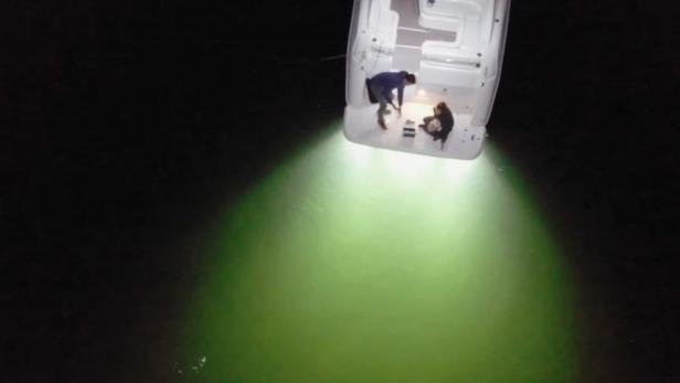 America's Lake Monster | Expedition X | Discovery