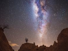 Forget Chile’s Atacama Desert, or Hawaii’s Mauna Kea. A petrified forest in Colombia is where you want to go for the best stargazing on the planet.