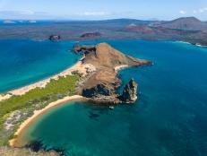 Places like New Zealand, Austrailia, Hawaii, and the Galapagos give us major wanderlust. But what is it about islands that make scientists weak in the knees?