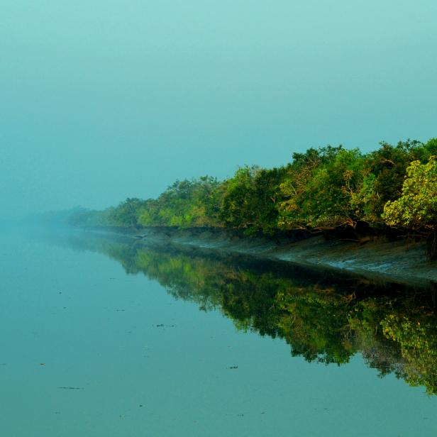 Rivers and lands getting blurred at Sundarbans.