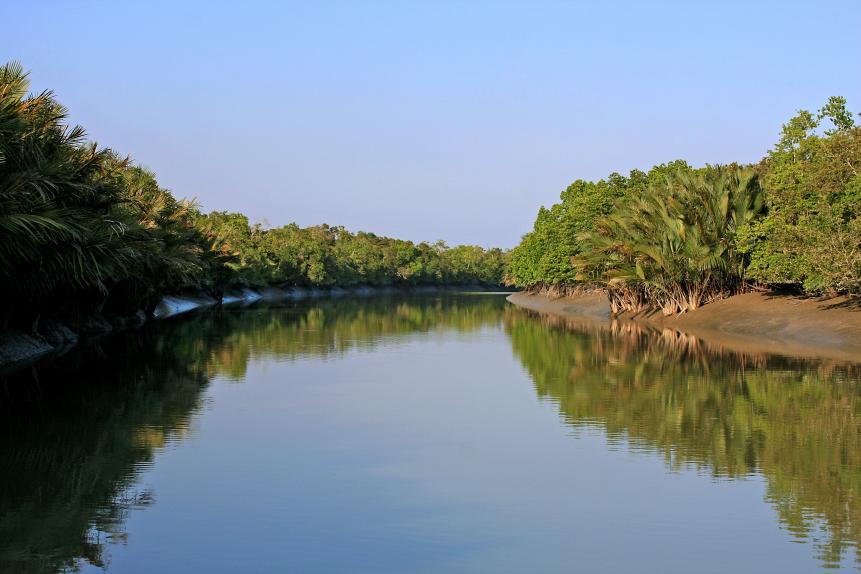Sundorbons is the largest mangrove forest in the world. It lies across areas of Bangladesh and West Bengal, India. It"u2019s a cluster of Islands with an approximate area of 6000 sq. km. forming the largest block of littoral forests. It is estimated that there are now 400+ Bengal tigers and about 30,000+ spotted deer in the forest! UNESCO has declared the Sundorbon a world heritage site that it offers splendid opportunities for tourism.