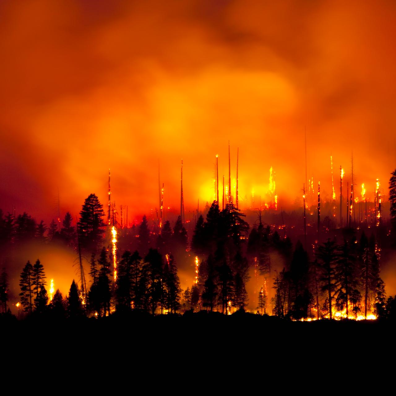 In the Los Angeles Fires, Drones Take Off for the First Time