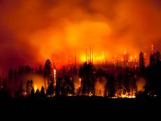 From the Amazon basin to northern Siberian forests, the wildfires are spreading. However, the technology used to tackle large area fires has become more sophisticated to respond to this threat.