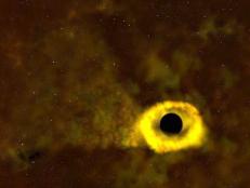 Ohio State astronomers capture a black hole shredding a star — a rare tidal disruption event.