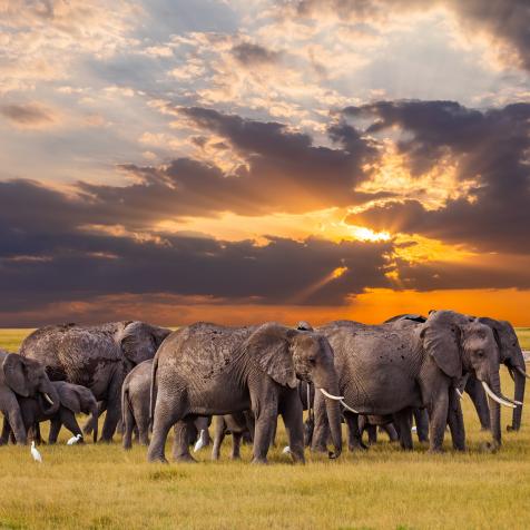 Serengeti National park, Tanzania