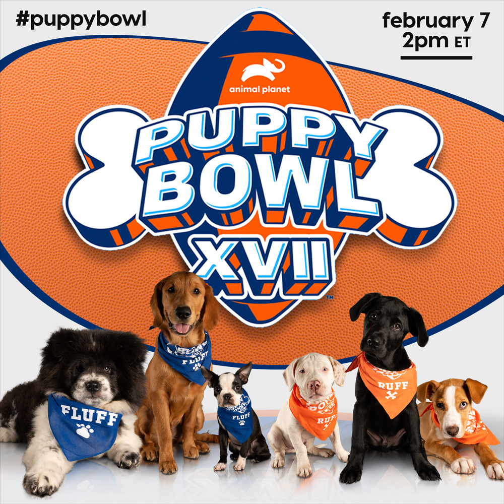 puppies in the puppy bowl 2021