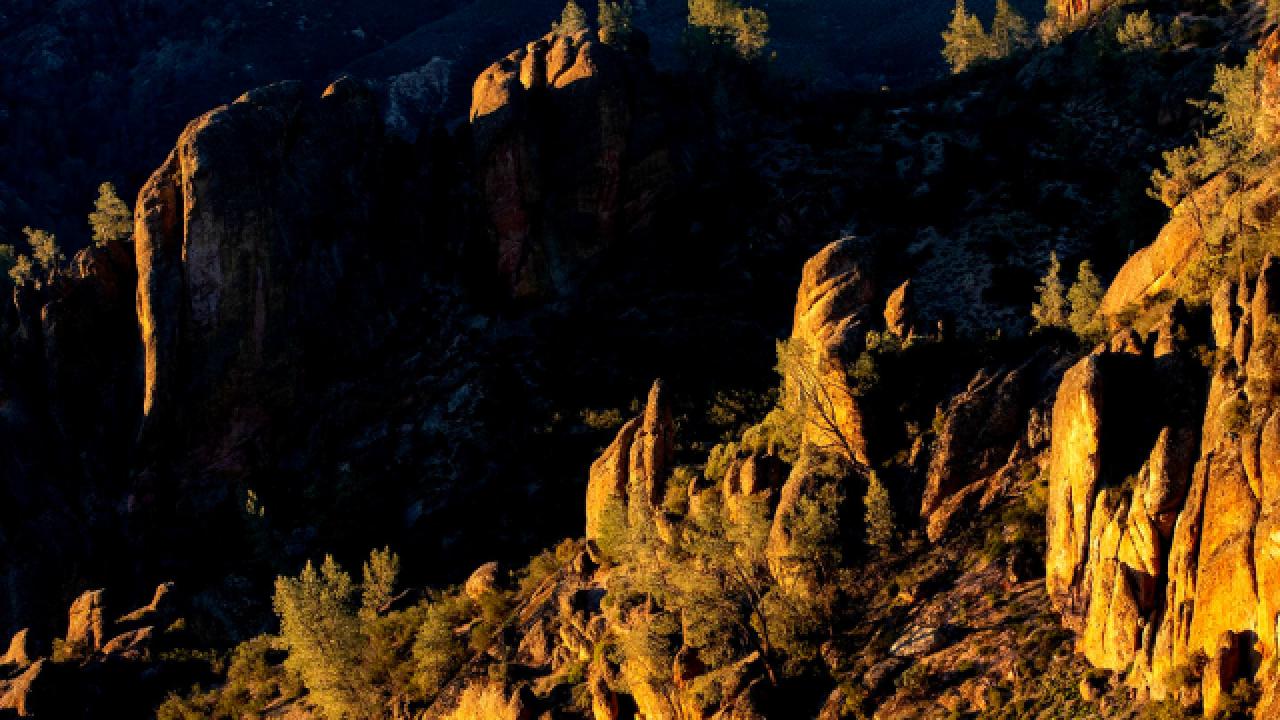 Nature in Focus | Uncovering Pinnacles National Park