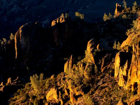 Nature in Focus | Uncovering Pinnacles National Park