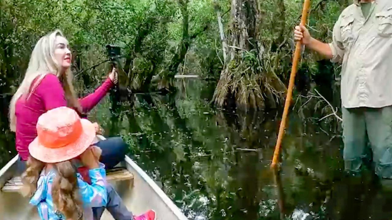 Exploring Florida’s Everglades