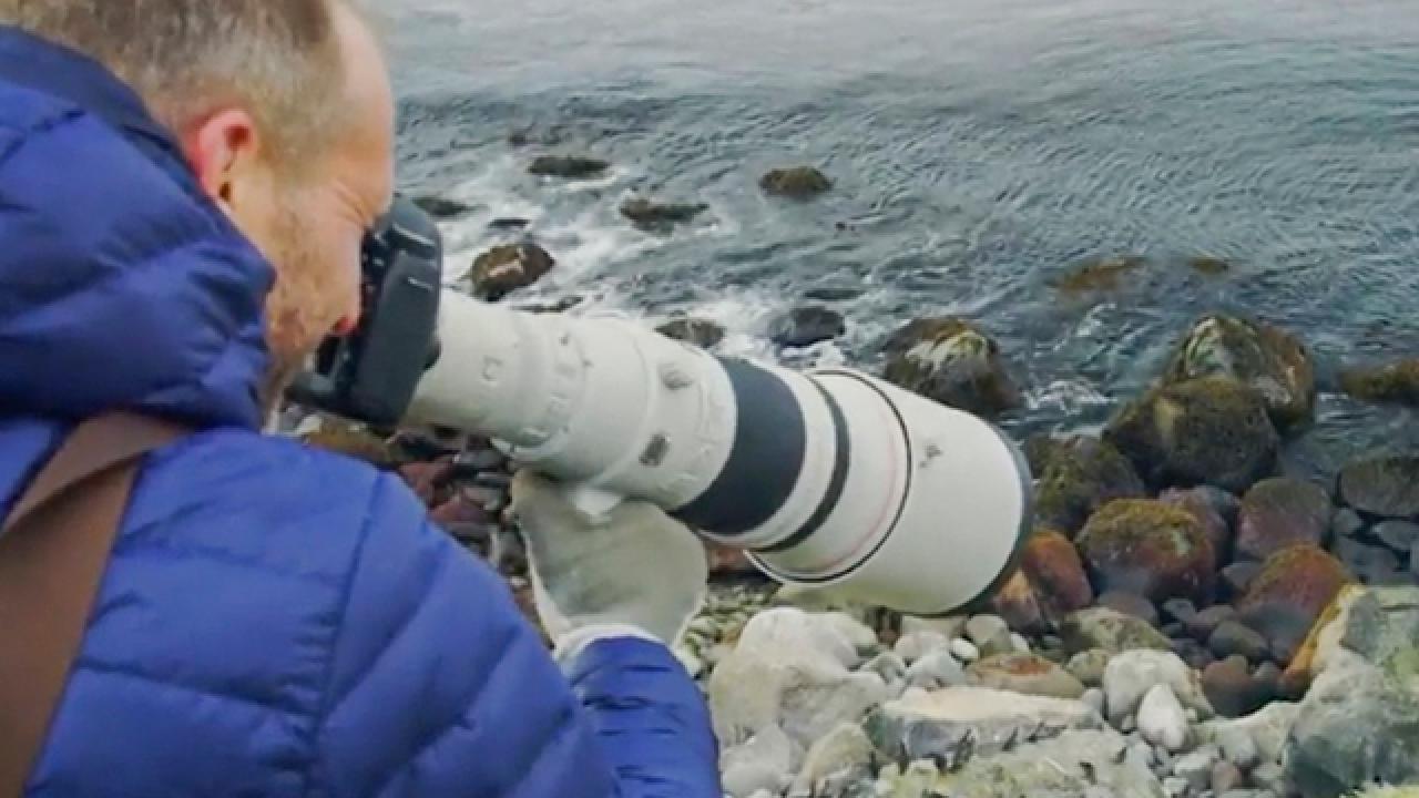 Nature In Focus | Discover the Last Unknown, the Aleutian Islands