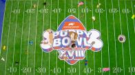 Puppy Bowl XVIII: How to watch, free live streams, TV channel, time (2/13/22)  