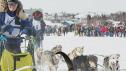 Nature is Fly | Dog Sledding in Oregon