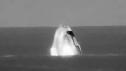 Space Launch Live | Crew-3 Splashdown