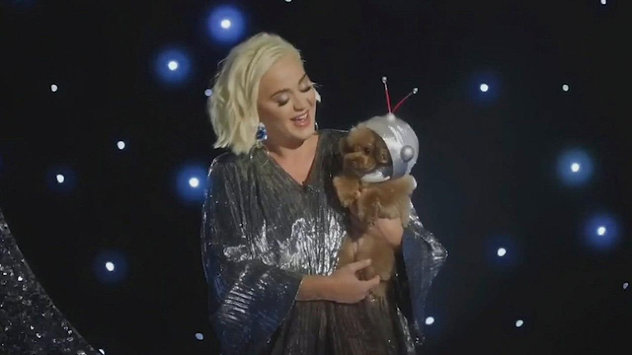 Katy Perry and Nugget