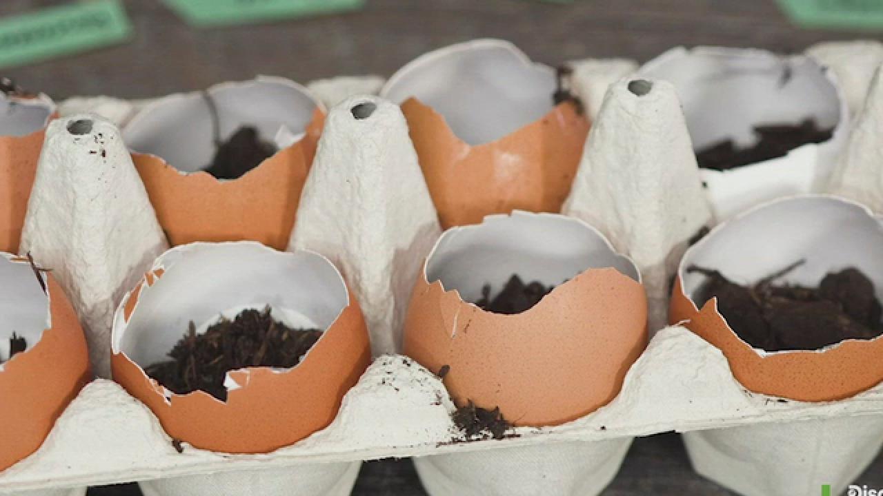 How to Make DIY Egg Planters