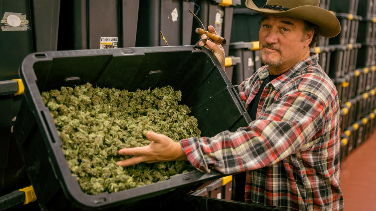 Growing Belushi | Jim Belushi Goes into the Cannabis Business