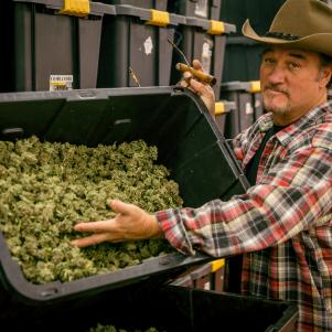 Jim Belushi showing off bins of the harvest