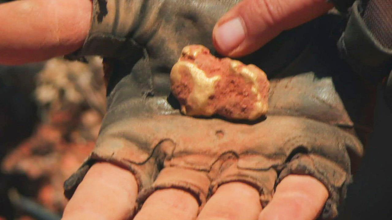 Aussie Gold Hunters