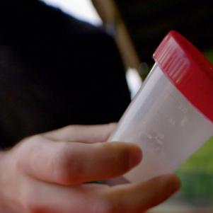 This image has been distributed to our partners.