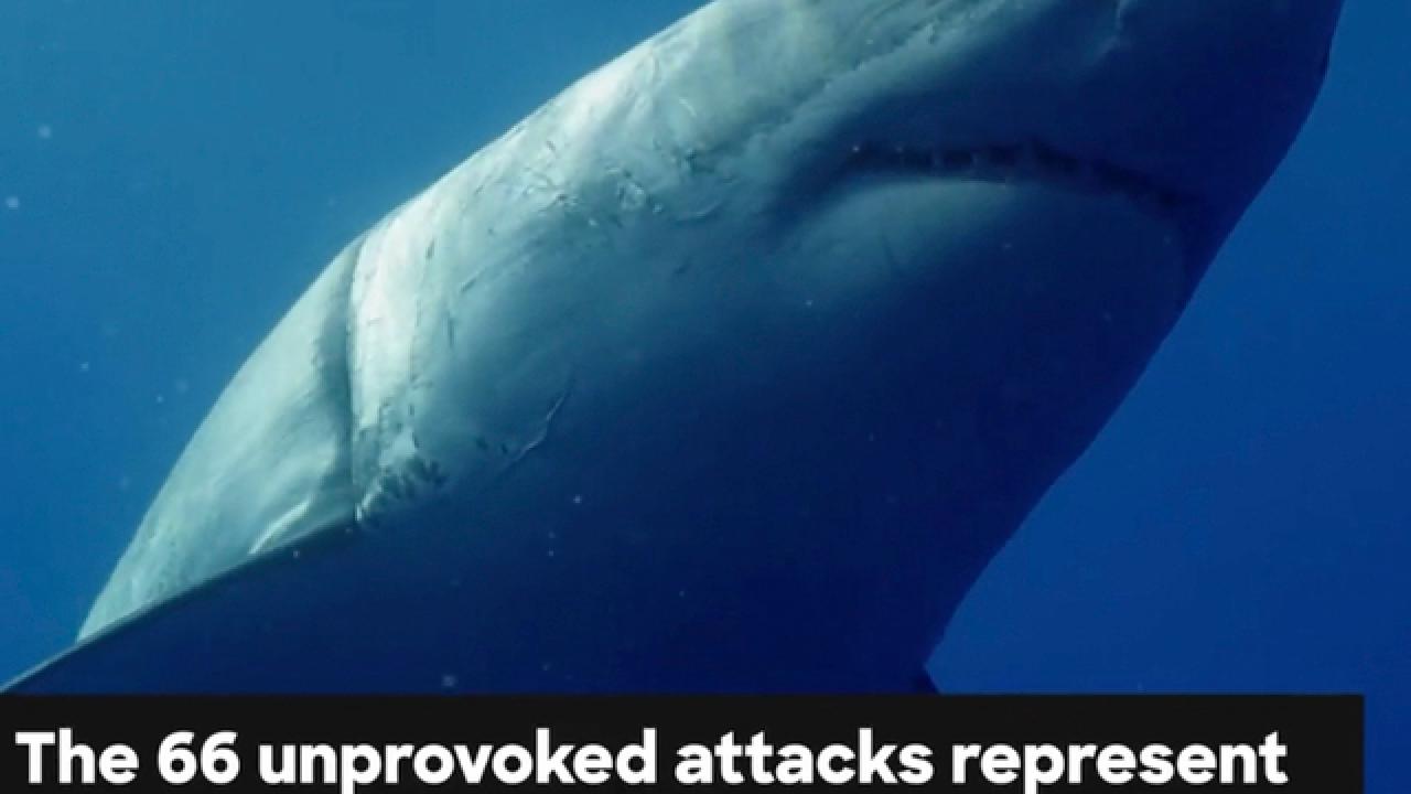 Shark Attacks Dropped in 2018