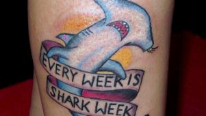 Committed Shark Week Fans Get Tattoos